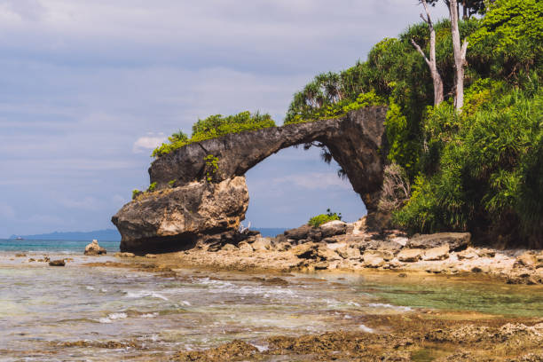 Neil island at Andaman and Nicobar archipelago Neil island at Andaman and Nicobar archipelago, natural stone bridge on the sea coast, India. main attraction of the island. andaman sea photos stock pictures, royalty-free photos & images