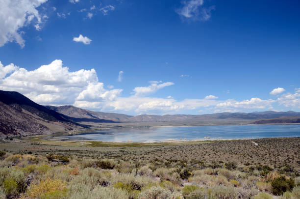 istock Mono salt lake and tufa landscape, 942306614