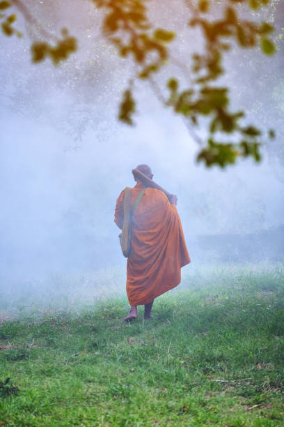 istock Rear View Of Monk Walking On Grassy Field 942306616