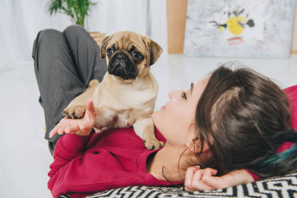 istock Young woman playing with pug puppy 942307640