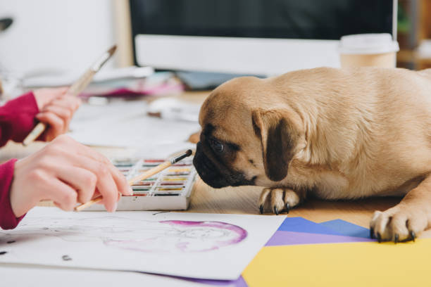 istock Pug sniffing brushes of female illustrator 942308928