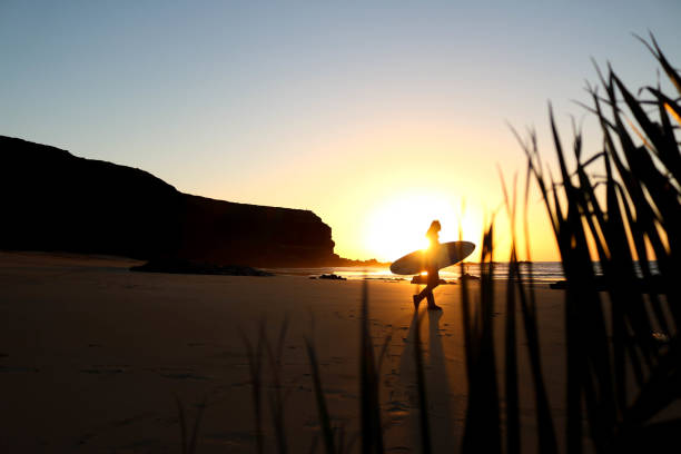 istock Surfer girl in sunset light on the beach 942309264