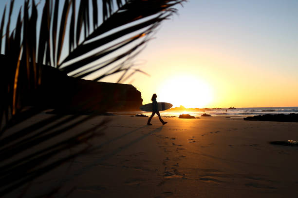 istock Surfer girl in sunset light on the beach 942309780