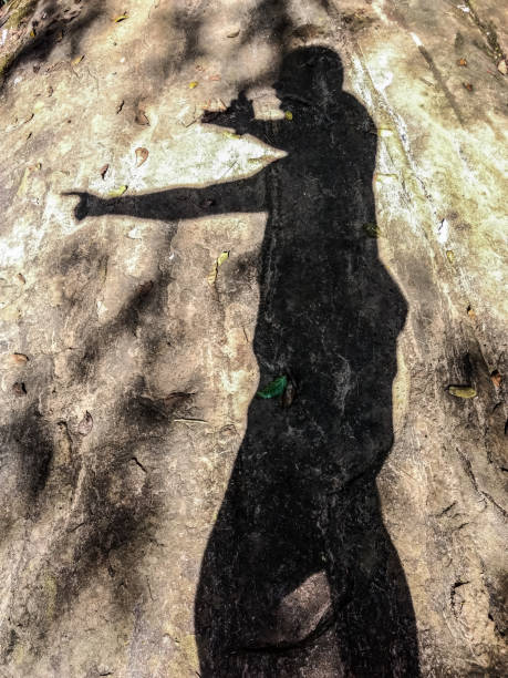 Tree leave shadow on street concrete floor background. Abstract background for product presentation. Sunshade shadow