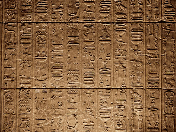 hieroglyphics background - ancient world imagens e fotografias de stock