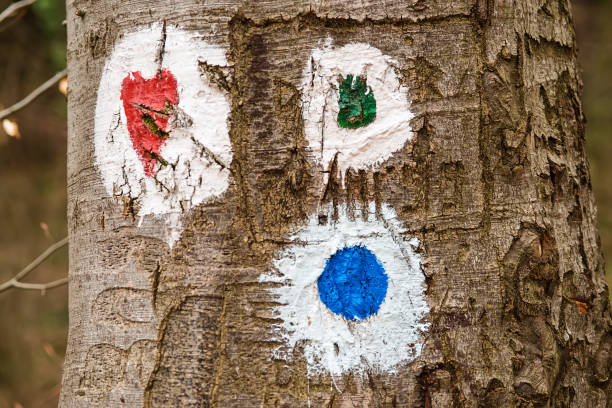 istock Hiking marking on a tree in the woods 942335278