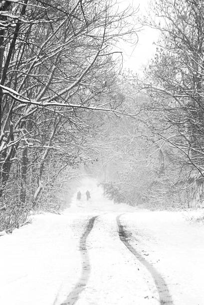 istock snowfall on country road 94234771