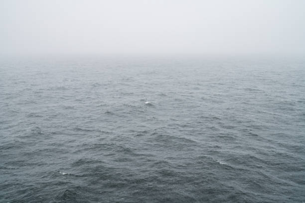 The Baltic Sea is in a misty snowfall