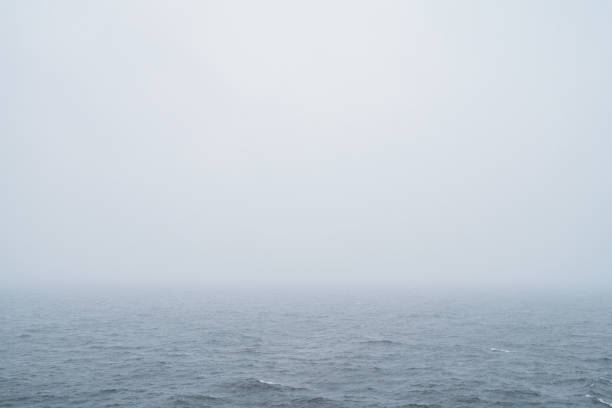 Landscape at the Curonian Lagoon on a gloomy day