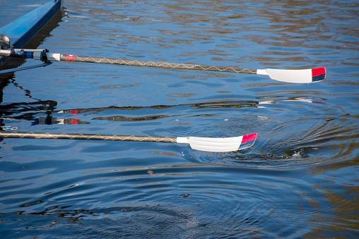 Ladies 8 rowing team with blades dipping into river Avon