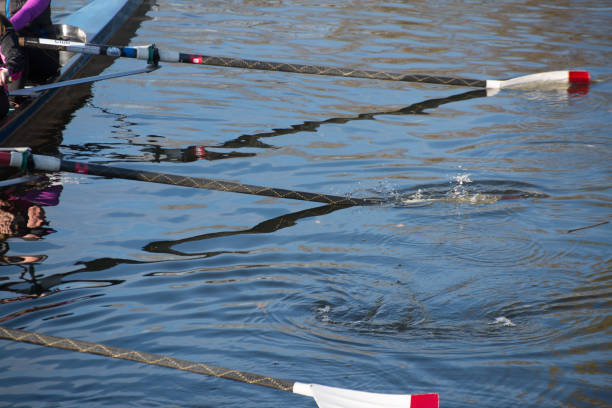 istock close up of rowing oars in water 942355220