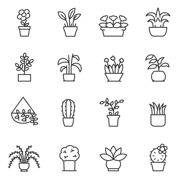 House plants icon set. Flower in pot. Line with editable stroke House plants icon set. Flower in pot linear design. Line with editable stroke flower pot stock illustrations