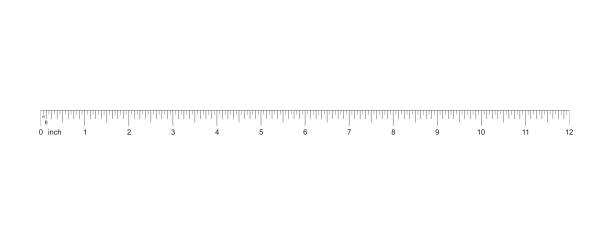 Ruler 12 inch. 12-inch grid with a division to one sixteenth. Measuring tool. Ruler Graduation. Ruler grid 12-inch. Size indicator units. Metric inch size indicators. Vector EPS10 inch stock illustrations