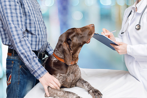 Vet writes a prescription for treating the dog on a blurred background.