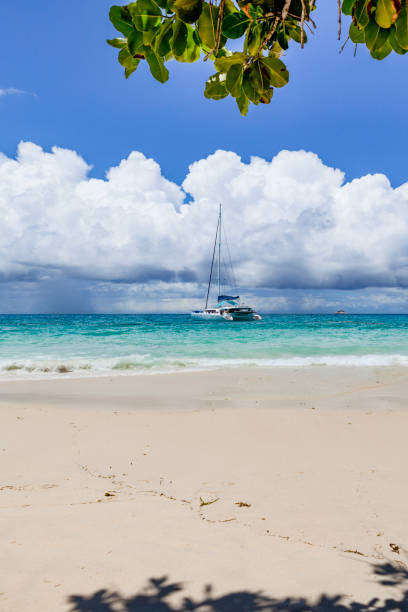 istock sailing the indian ocean, seychelles 942391146