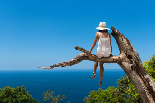 Young woman daydreaming in a tree (Nusa Penida, Indonesia) A young Thai woman visiting Indonesia enjoys the dramatic view from atop a tree limb at Kelingking Beach, located on the island of Nusa Penida near Bali. kelingking beach stock pictures, royalty-free photos & images