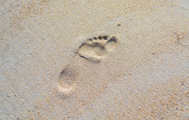 istock Footprint in the sand Palau (Olbia-Tempio, Sardinia, Italy). 942393654