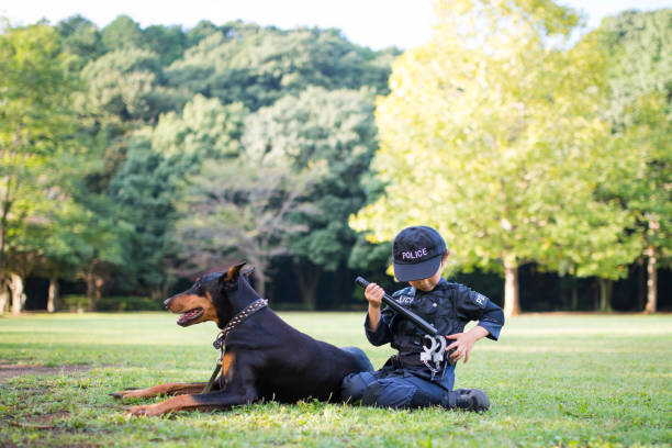 Little girl in police costume and buddy Doberman Little girl in police costume and buddy Doberman manhunt law enforcement stock pictures, royalty-free photos & images