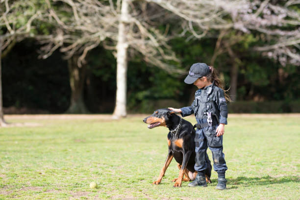 Little girl in police costume and buddy Doberman Little girl in police costume and buddy Doberman manhunt law enforcement stock pictures, royalty-free photos & images