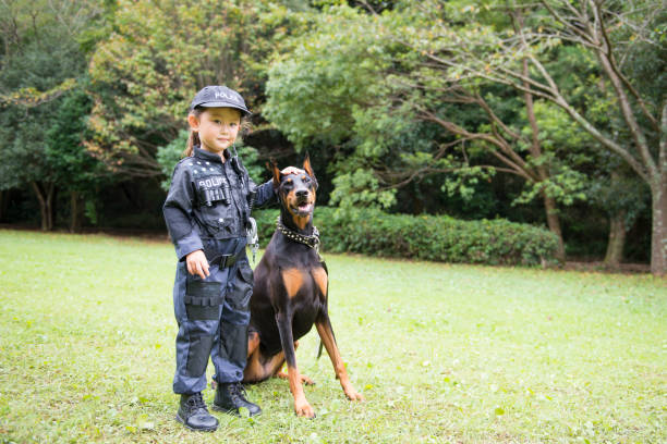 Little girl in police costume and buddy Doberman Little girl in police costume and buddy Doberman manhunt law enforcement stock pictures, royalty-free photos & images