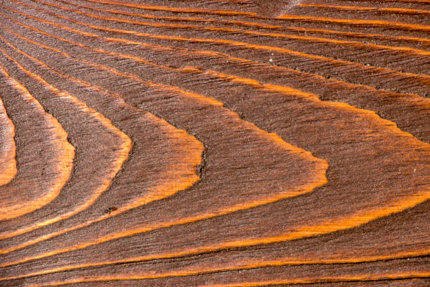 istock Colorful wood texture for background 942406718