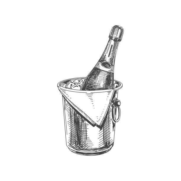 Beautiful vector hand drawn restaurant stuff Illustration. Beautiful vector hand drawn restaurant stuff Illustration. Detailed retro style ice bucket with champagne image. Vintage sketch element for labels, packaging and cards design. champagne illustrations stock illustrations