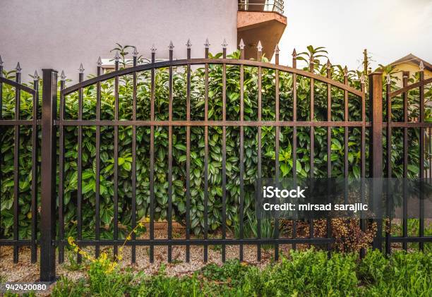 Iron Fence Stock Photo - Download Image Now - Fence, Decoration, Iron - Metal