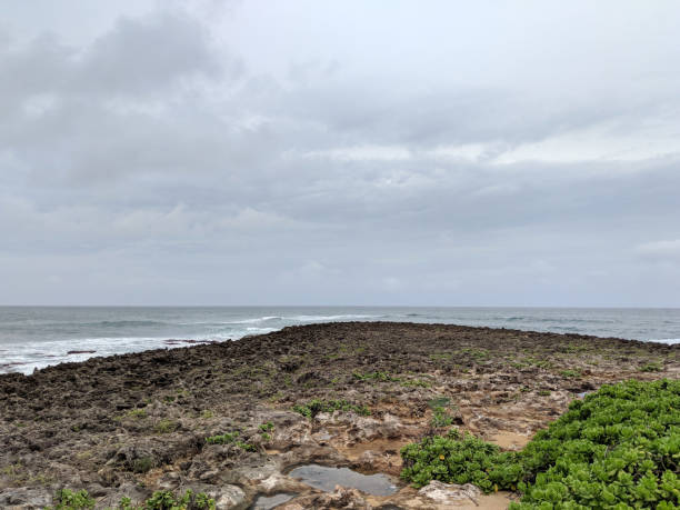 istock Rocky shoreline with napaka leading to the ocean 942420214