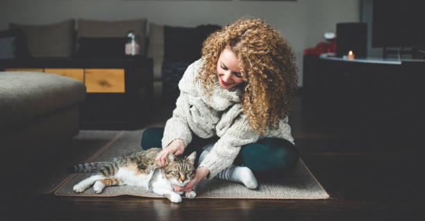 istock Owner playing with cute funny cat at home 942428852