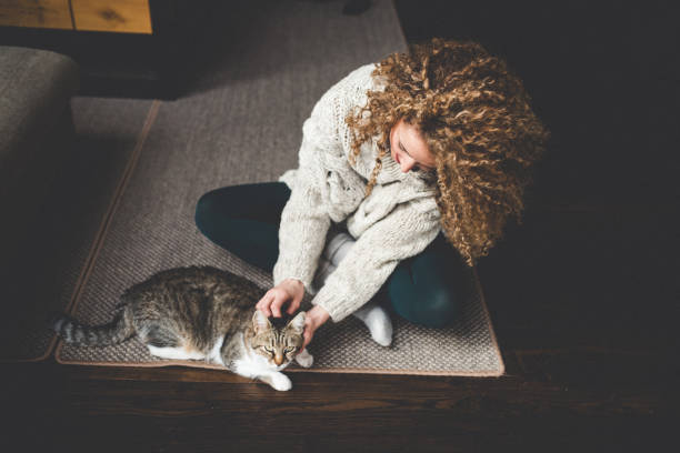 istock Owner playing with cute funny cat at home 942428854
