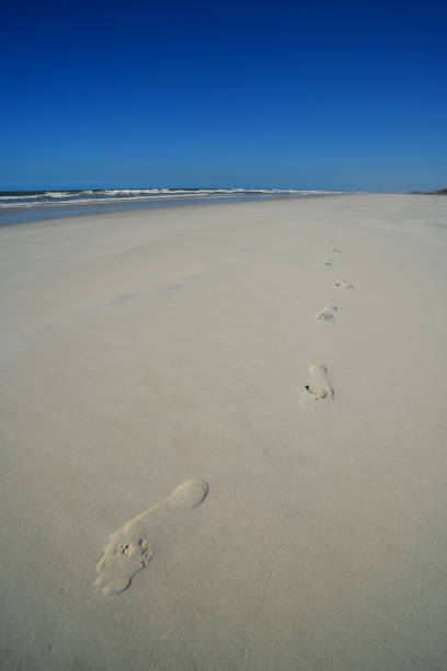 istock Footprints in the sand in northeast Florida 942433504
