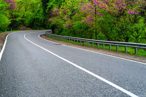 istock Winding modern asphalt road in summer forest 942436360