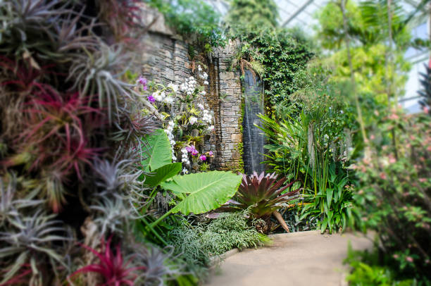 A vibrant tropical garden featuring lush green foliage and vivid pink flowers, showcasing the natural beauty and diversity of plant life.