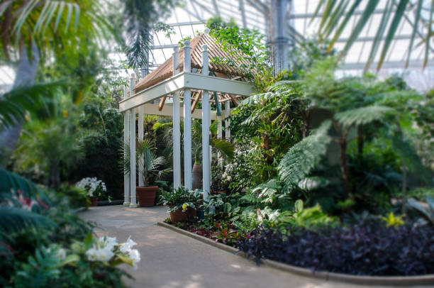 istock Orchid Conservatory at Daniel Stowe Botanical Garden 942437104