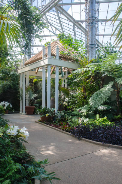 istock Orchid Conservatory at Daniel Stowe Botanical Garden 942437146