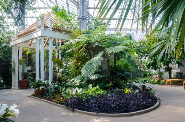 istock Orchid Conservatory at Daniel Stowe Botanical Garden 942437150