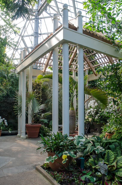 istock Orchid Conservatory at Daniel Stowe Botanical Garden 942437346
