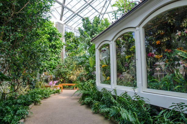 Orchid Conservatory at Daniel Stowe Botanical Garden