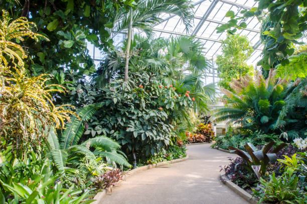 istock Orchid Conservatory at Daniel Stowe Botanical Garden 942437404