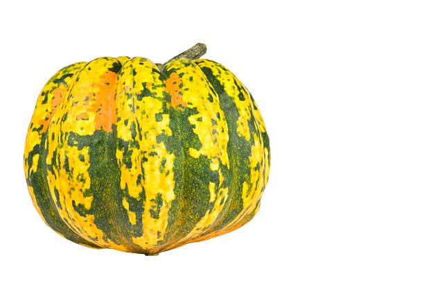 istock Coloful plumkin isolated on white with clipping path 94243816