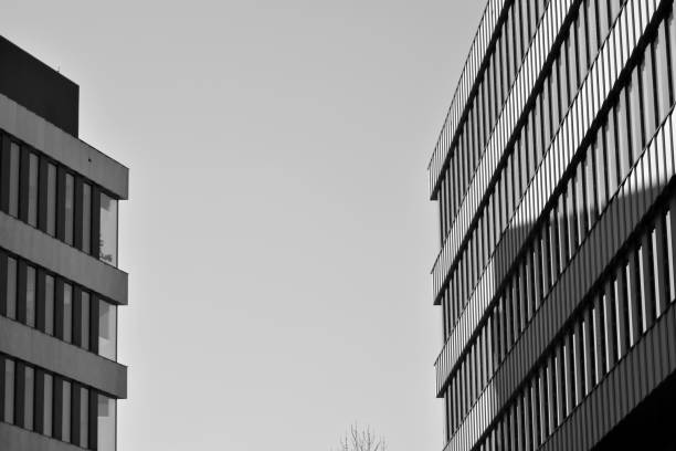 istock Modern city office building exterior. Black and white. 942439522
