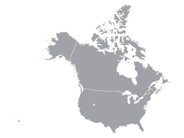 ilustraciones, imágenes clip art, dibujos animados e iconos de stock de mapa gris de canadá y estados unidos - cartography canada white map