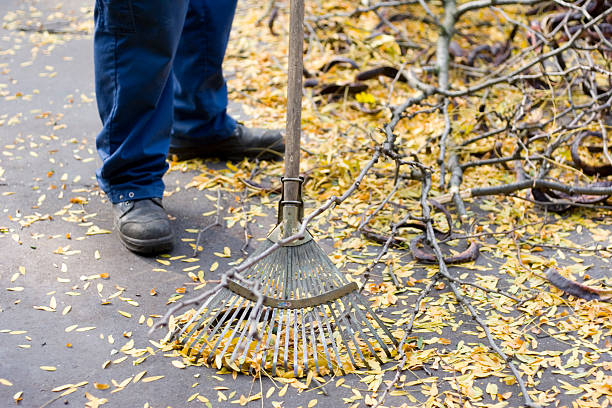 istock Cleaning the street 94244572