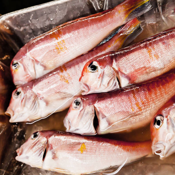 istock Fresh Japanese tilefish in a market 942455300