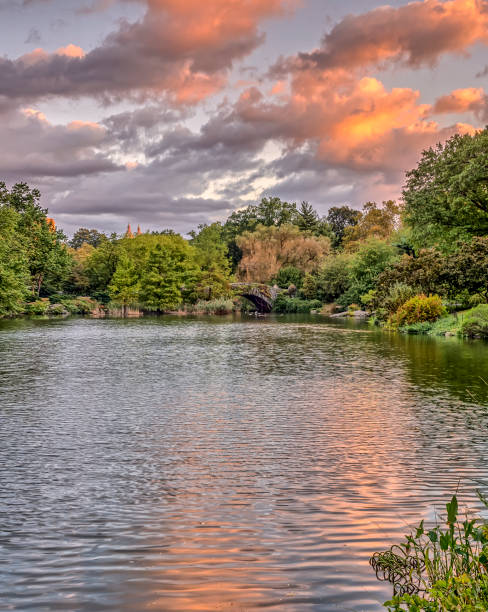 istock Gapstow bridge Central Park, New York City 942456058