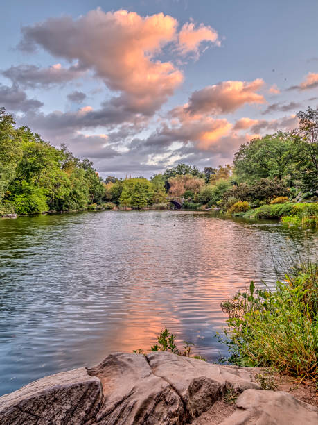 istock Gapstow bridge Central Park, New York City 942456208