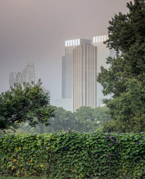 istock Central Park, New York City summer 942456306
