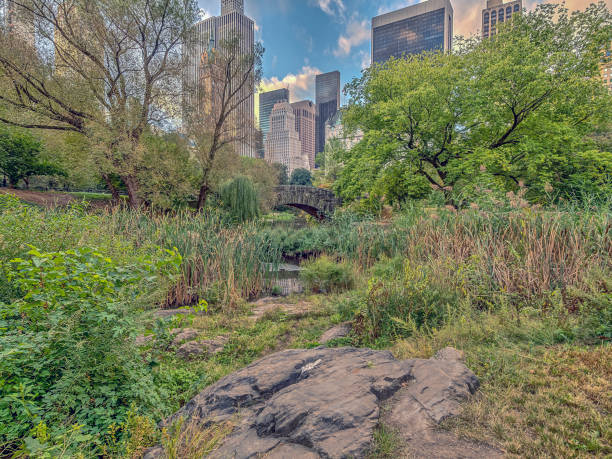 istock Gapstow bridge Central Park, New York City 942456388
