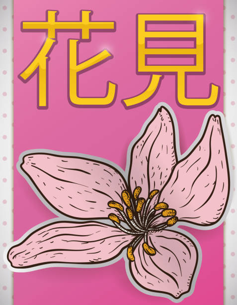 ilustraciones, imágenes clip art, dibujos animados e iconos de stock de etiqueta con flor de la cereza en el estilo de sorteo de mano para hanami - hannah