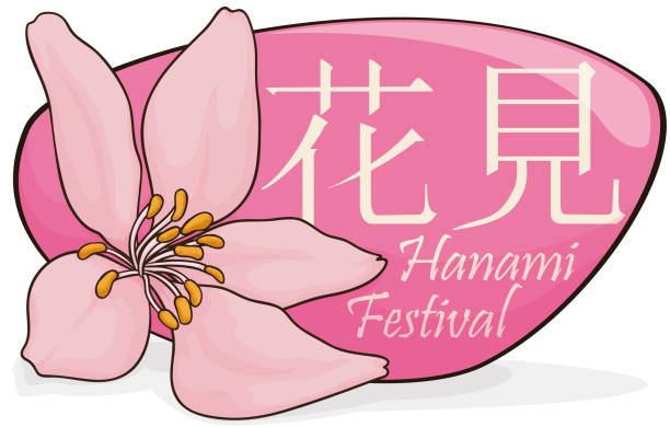 schöne kirsche blühte über zeichen für hanami festival - hannah stock-grafiken, -clipart, -cartoons und -symbole